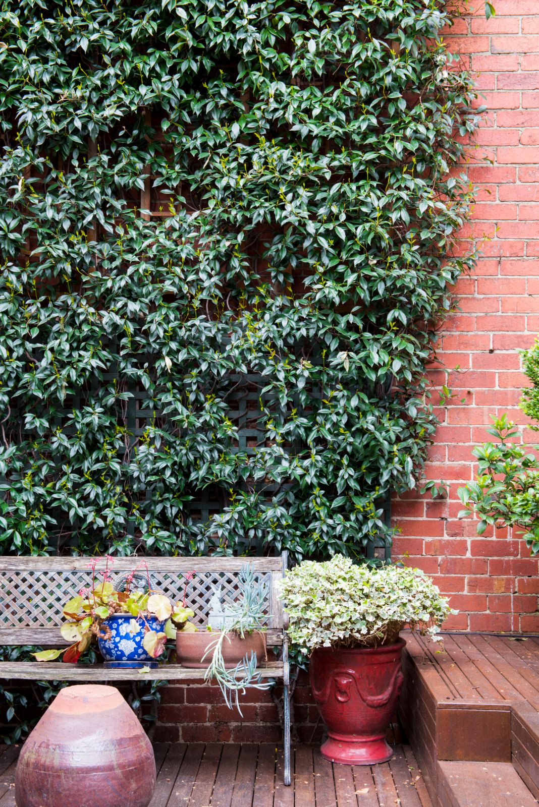 East Melbourne Period, courtyard